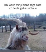 Ich-sehe-heute-gut-aus.jpg auf www.funpot.net