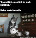 Lass-uns-Tee-trinken-und-reden.jpg auf www.funpot.net