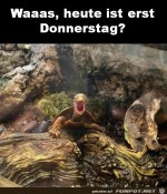 Erst-Donnerstag.jpg auf www.funpot.net