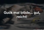 gut-reicht.jpg auf www.funpot.net