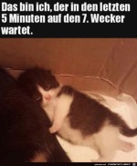 Da-ist-jemand-sehr-mde.jpg auf www.funpot.net