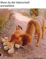 Vaterschaft-wird-angezweifelt.jpg auf www.funpot.net