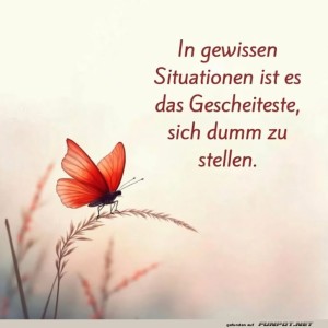 herz-Bild: Der kluge Schmetterling von nebenan