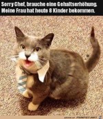 Ich-brauche-eine-Gehaltserhhung.jpg auf www.funpot.net