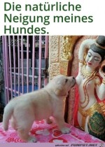 Ein-Mnnchen.jpg auf www.funpot.net