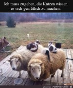 Bequemer-Platz.jpg auf www.funpot.net