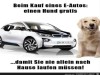 weiter
