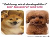 weiter