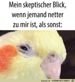 Mein-skeptischer-Blick.jpg auf www.funpot.net
