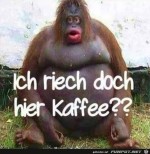 Ich-rieche-Kaffee.jpg auf www.funpot.net