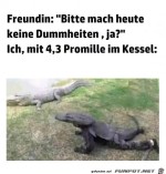 Mach-keine-Dummheiten.jpg auf www.funpot.net