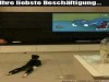 weiter