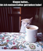 Klappe-halten.jpg auf www.funpot.net