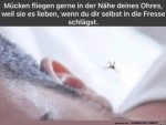 Blde-Stechmcken.jpg auf www.funpot.net