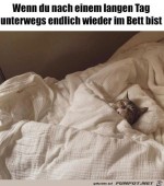 Endlich-im-Bett.jpg auf www.funpot.net