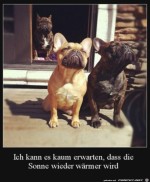 Die-Sonne-wird-wrmer.jpg auf www.funpot.net