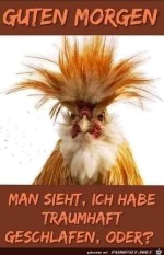 Morjen.jpg auf www.funpot.net