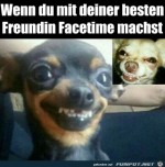 Facetime-mit-bester-Freundin.jpg auf www.funpot.net