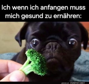 fun-Bild: Gesund ernähren