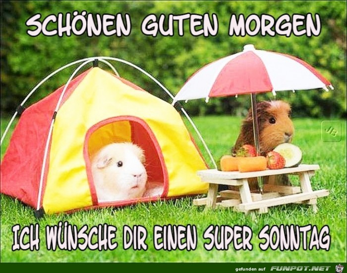 Sonntag Sonntag