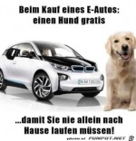 Hund-gibt-es-gratis-dazu.jpg auf www.funpot.net