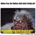 Haarklumpen-im-Abfluss.jpg auf www.funpot.net