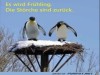 weiter
