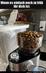 Keine-Kaffeebohnen.jpg auf www.funpot.net