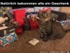 weiter