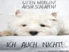 weiter