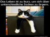 weiter