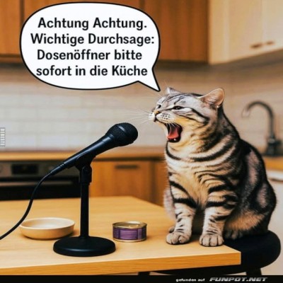 Katzenkonferenz:-Die-ultimative-Ansage!.jpg von Nele68