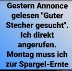 Guter-Stecher-gesucht.jpg auf www.funpot.net