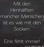Die-Hirnhlften-mancher-Menschen.jpg auf www.funpot.net
