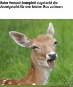 Vernebelter-Blick.jpg auf www.funpot.net