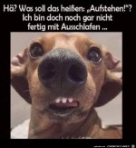 H?.jpg auf www.funpot.net