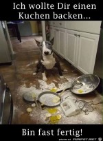 Hund-wollte-Kuchen-backen.jpg auf www.funpot.net