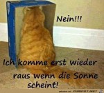 Ich-komme-erst-raus,-wenn-die-Sonne-scheint.jpg auf www.funpot.net