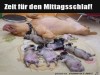 weiter