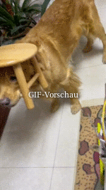 Das-ist-mein-Hocker.gif auf www.funpot.net