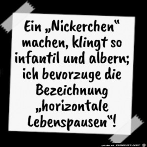 fun-Bild: Ein Nickerchen