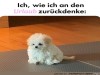 weiter