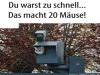 weiter