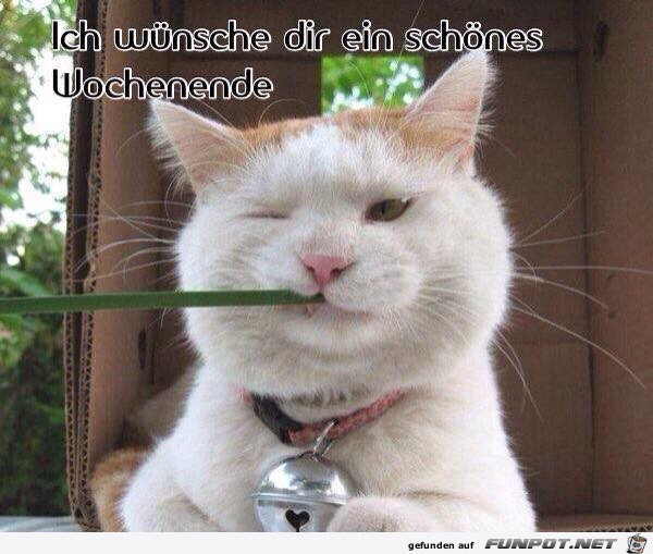 Schönes Wochenende Schönes Wochenende