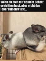Keiner-rumt-den-Platz.jpg auf www.funpot.net