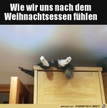 Nach-dem-Weihnachtsessen.jpg auf www.funpot.net