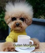 guten-Morgen.jpg auf www.funpot.net