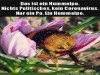 weiter