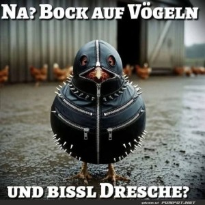 fun-Bild: Punk-Rock-Huhn im Leder-Mantel