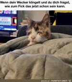 Vllig-verblasen.jpg auf www.funpot.net